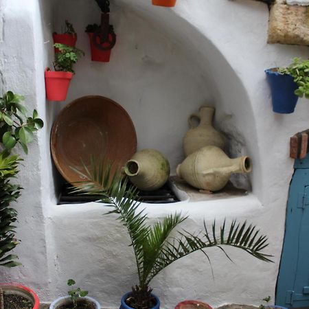Vivienda Turistica De Alojamiento Rural Silla Vieja Vejer de la Frontera Exteriör bild