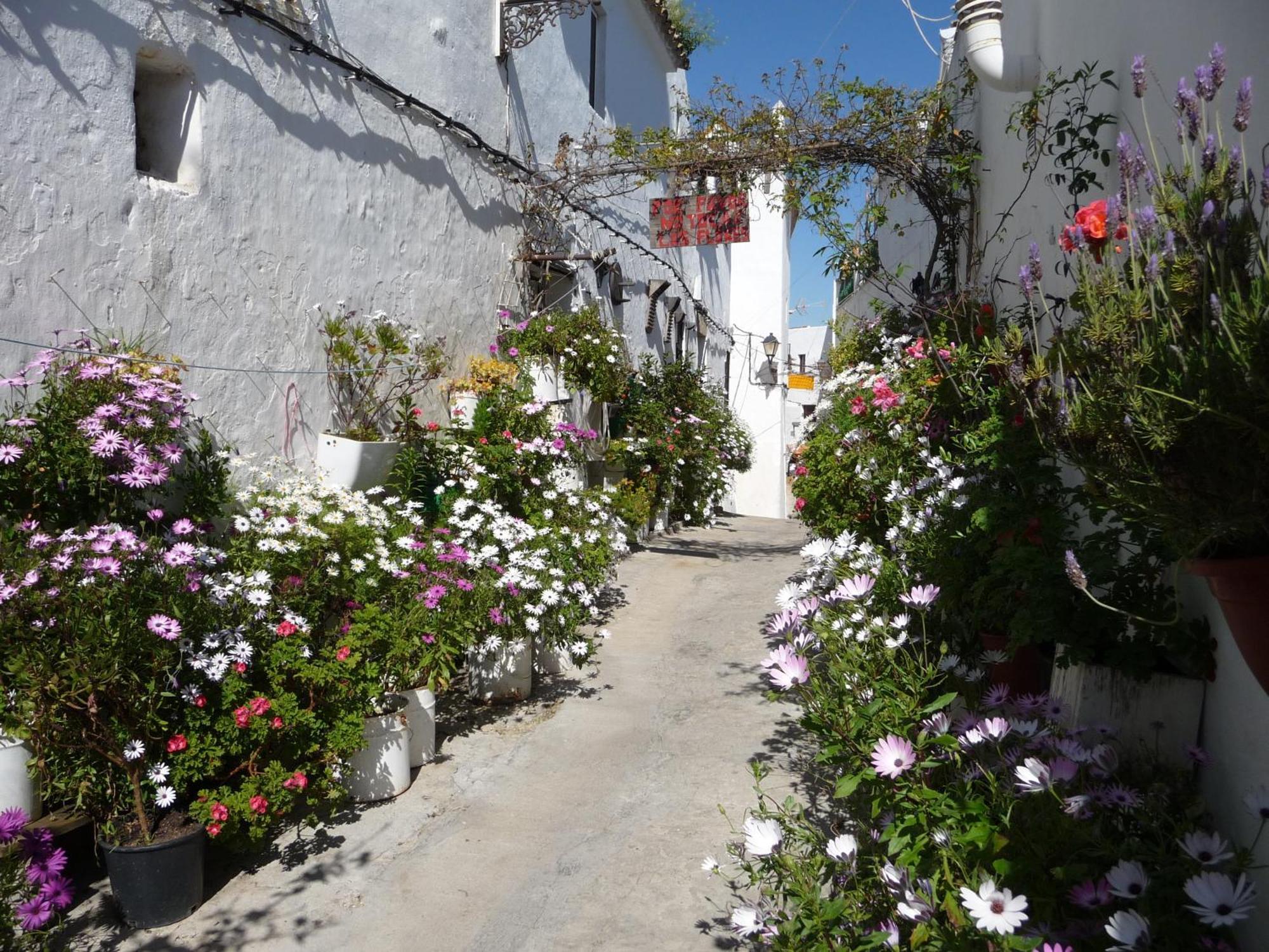 Vivienda Turistica De Alojamiento Rural Silla Vieja Vejer de la Frontera Exteriör bild
