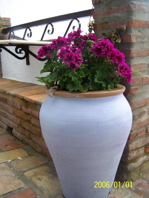 Vivienda Turistica De Alojamiento Rural Silla Vieja Vejer de la Frontera Exteriör bild